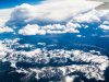 Blue Panda Photography