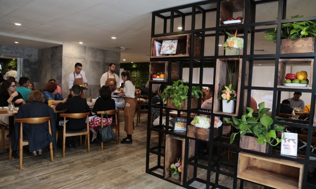 Bocas House