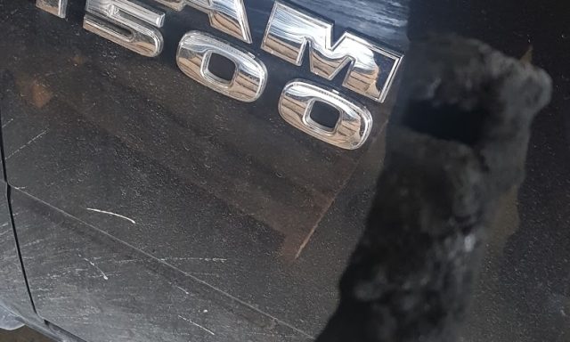 Ccm Group