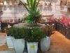 Chan's Silk Flowers (CSF Miami)
