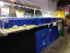 Colors Of The Sea Inc.