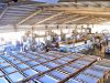 Coraldom USA Coral Stone and Keystone Manufacturer Miami Fl