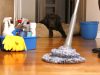 Cristal Planet Cleaning and Services