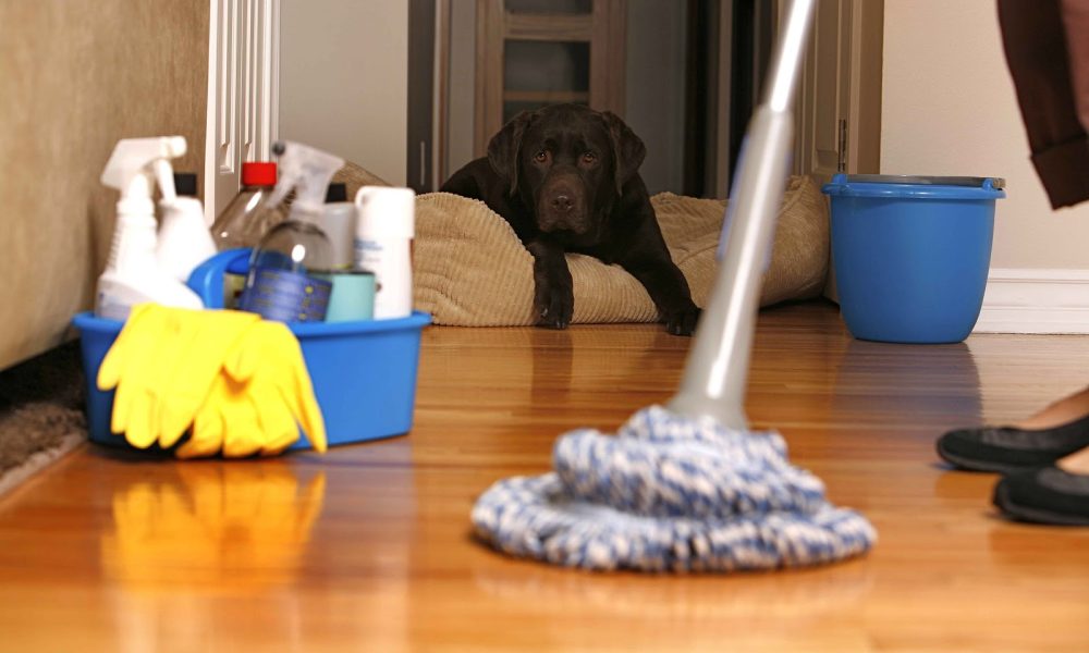 Cristal Planet Cleaning and Services