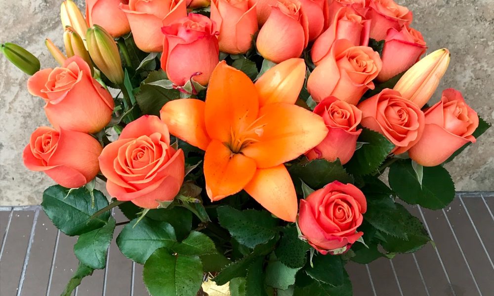 Doral Roses Miami