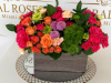 Doral Roses Miami