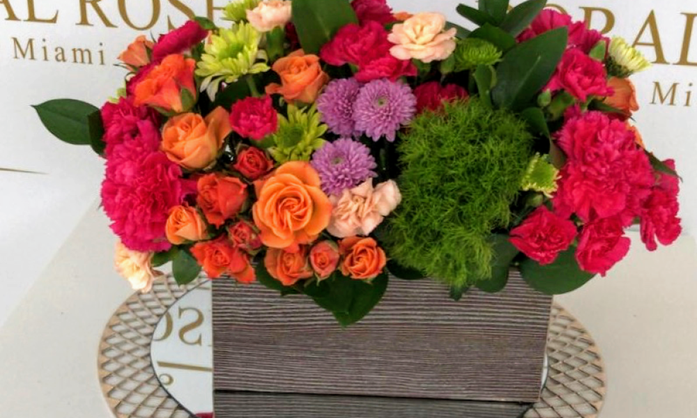 Doral Roses Miami