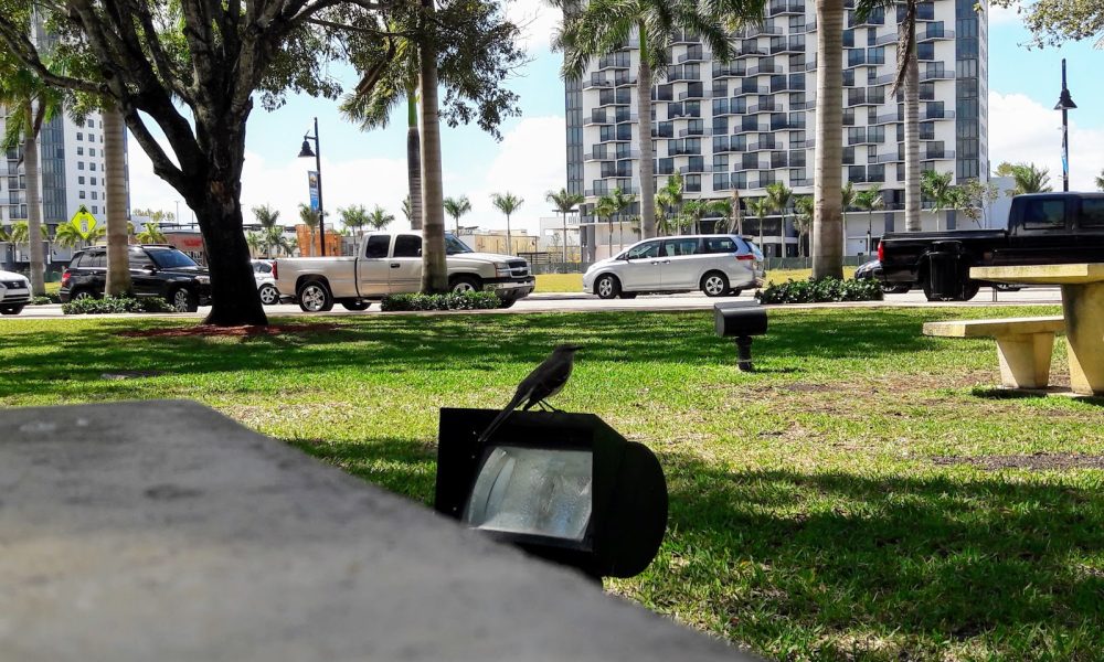 Downtown Doral Park (NB)