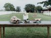 Elements and Accents Event Rentals