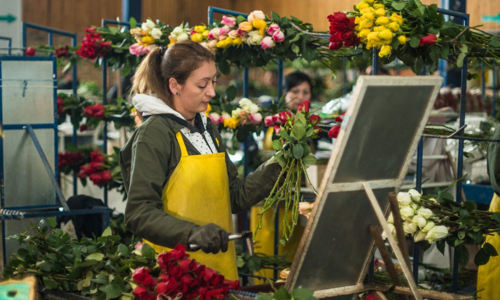 Farm Fresh Flowers