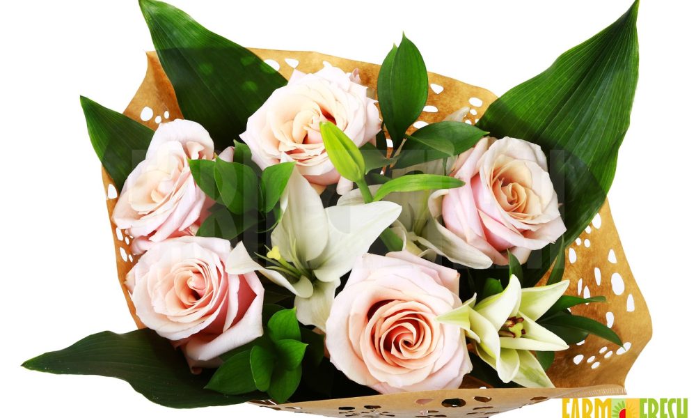 Farm Fresh Flowers