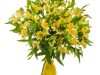 FlowersandFreshness.com