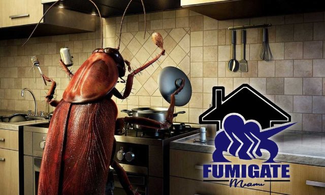 Fumigate Miami™