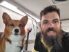 Gaston Mobile Grooming