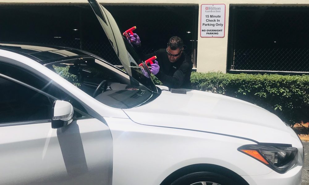 Gator Auto Glass