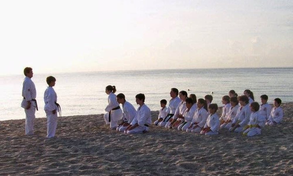 Izumi Karate School Inc