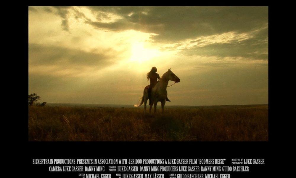 Jeridoo Distribution & Production (Movie Company)