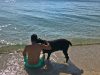 Lovingpaws Pet Services