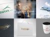 MMS AGENCY: Digital Marketing, SEO, SMM, Web Design, Web & APP Development