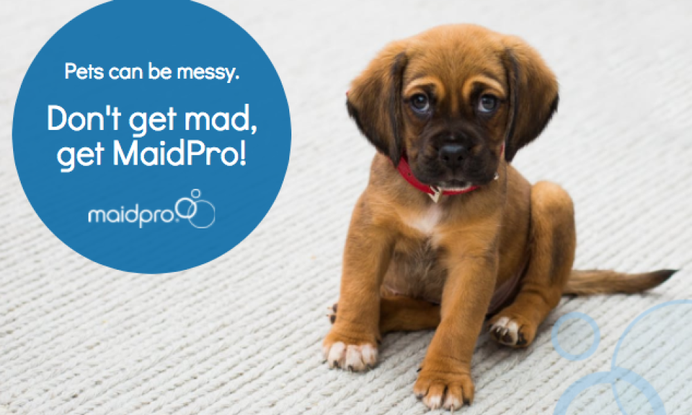 MaidPro Coral Gables