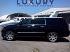 Navistar Limousine