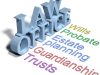 Niebla Probate Firm