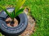 Russo Tires