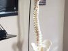 Sibley Dolman Accident Injury Lawyers, LLP