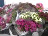 South Florals Weddings and Events