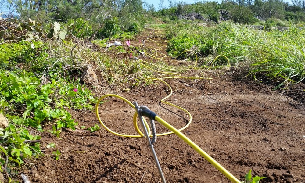Spotlight Geophysical Services