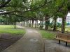 Tamiami Trail Park
