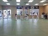 Team Taekwondo