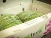 Terra Fresh Foods