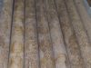 Tile Center Doral, LLC