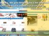 Time Programmer Corp: Databases, Custom software, Websites