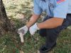 Toro Pest Management