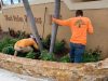 Yard Smart Inc.